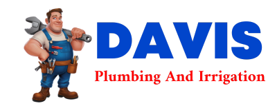 Trusted plumber in DECKERVILLE